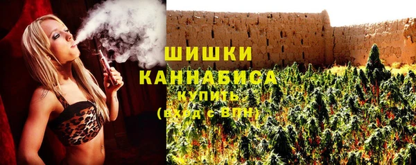 прущие крисы Горняк