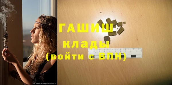 прущие крисы Горняк