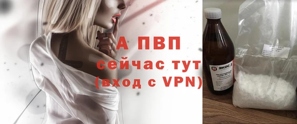 прущие крисы Горняк