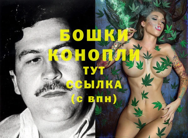 прущие крисы Горняк