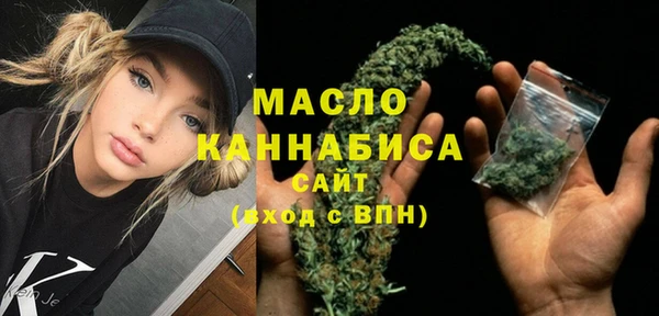 прущие крисы Горняк