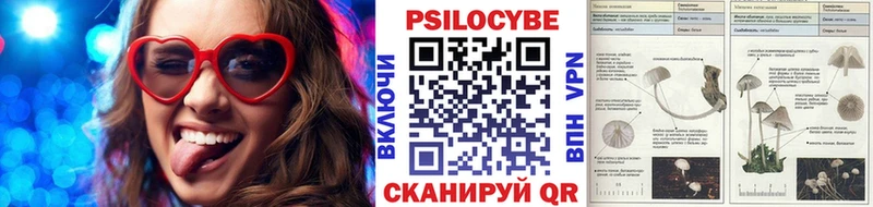 Купить где  Нововоронеж  Псилоцибиновые грибы Psilocybine cubensis 